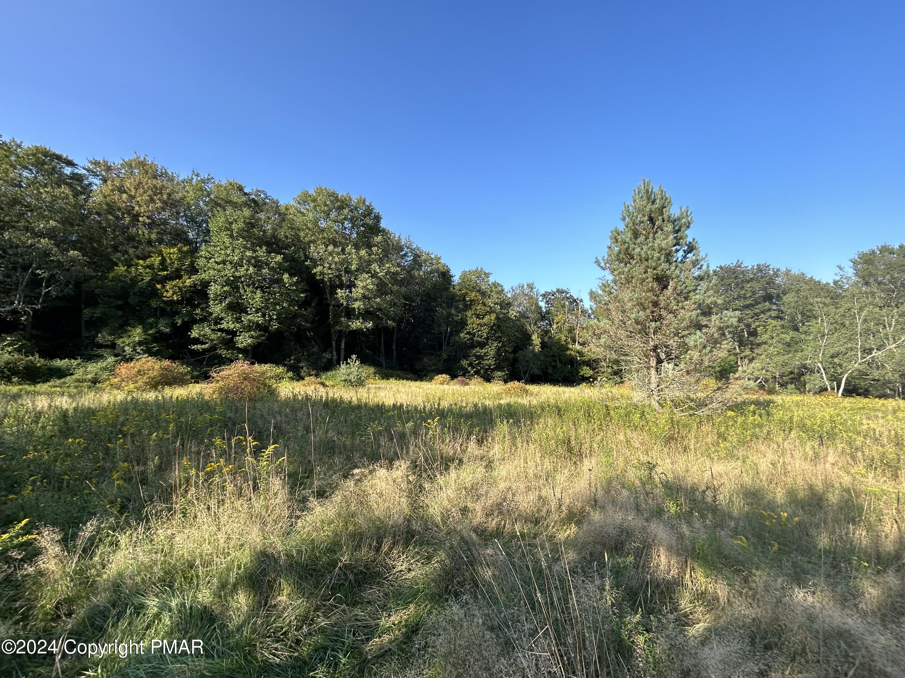 N Old Stage Road, Albrightsville, Pennsylvania image 10