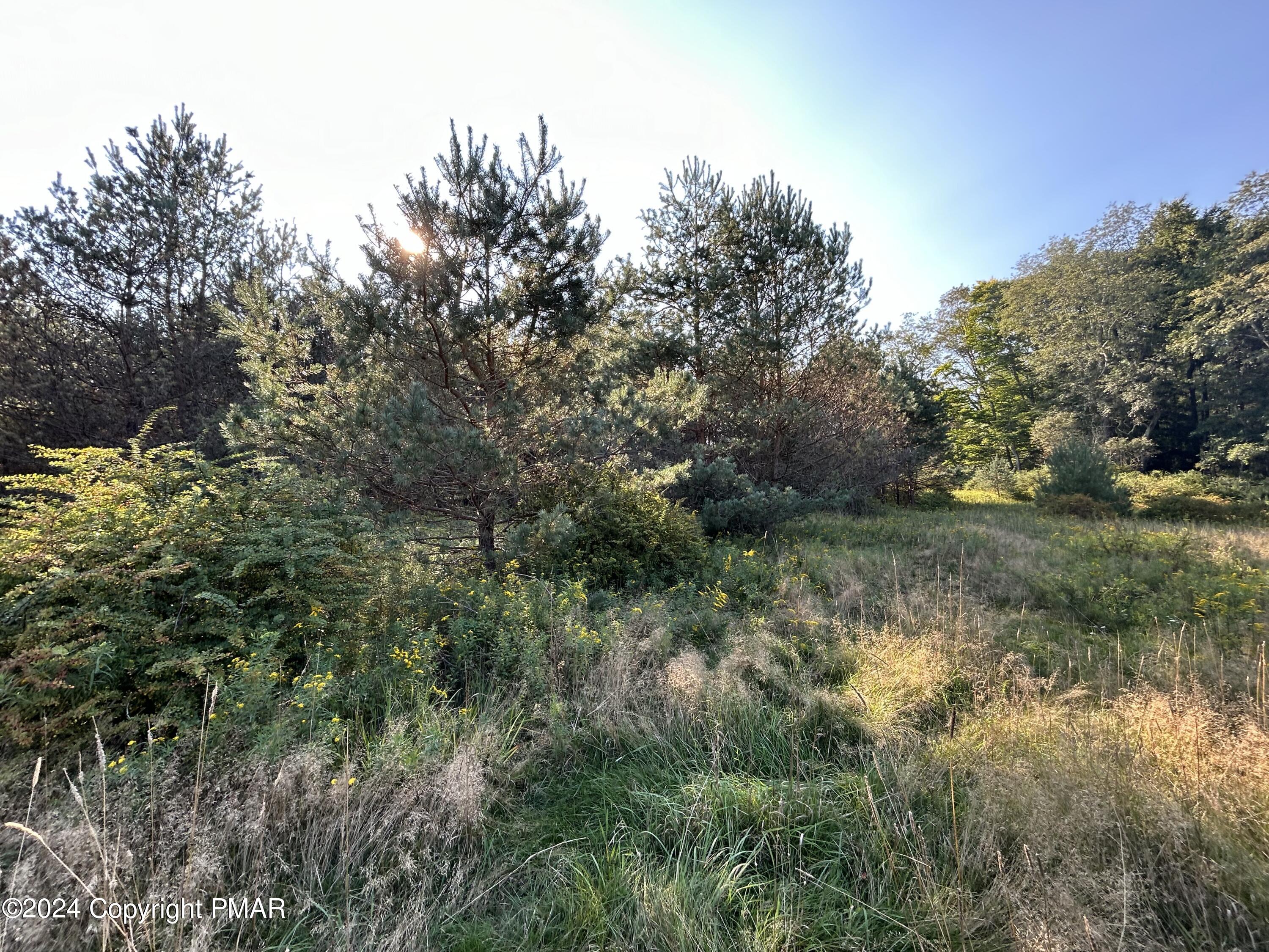N Old Stage Road, Albrightsville, Pennsylvania image 20