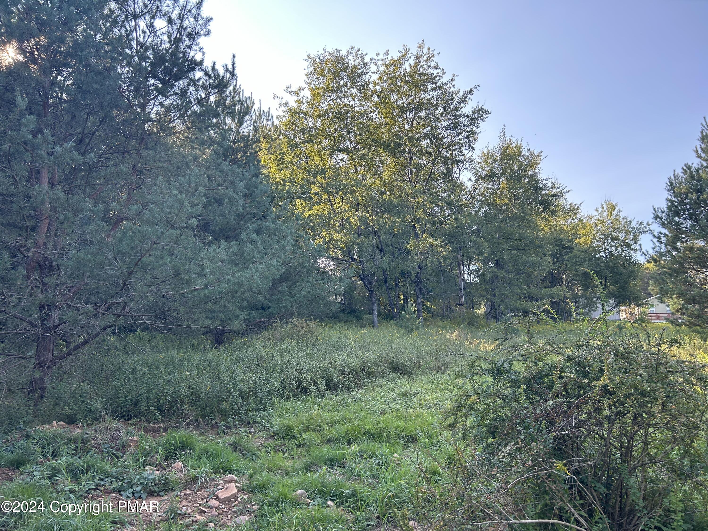 N Old Stage Road, Albrightsville, Pennsylvania image 26