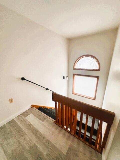 244 Northslope Ii Road Road, East Stroudsburg, Pennsylvania image 23