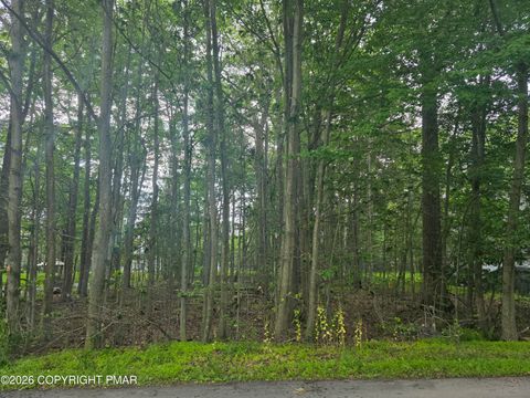 Vacant Land For Sale - 111 Mayfair Road<br/> Tobyhanna, PA 18466