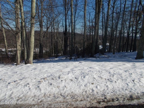 Vacant Land For Sale - 78 High Mountain Lane<br/> Tannersville, PA 18372
