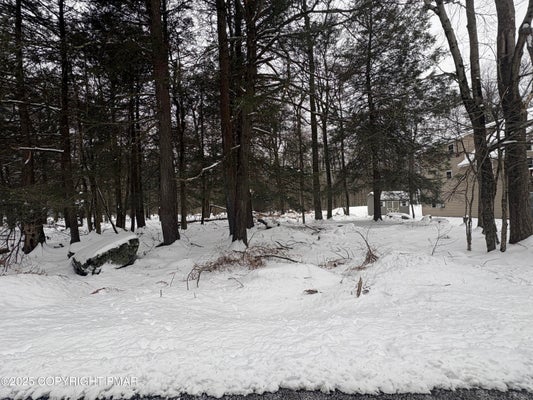 36 OLD SILVER MINE TRL, GOULDSBORO, PA 18424 - Image edf2b95c2aa4f92e2329cce03bf968df/2170345666