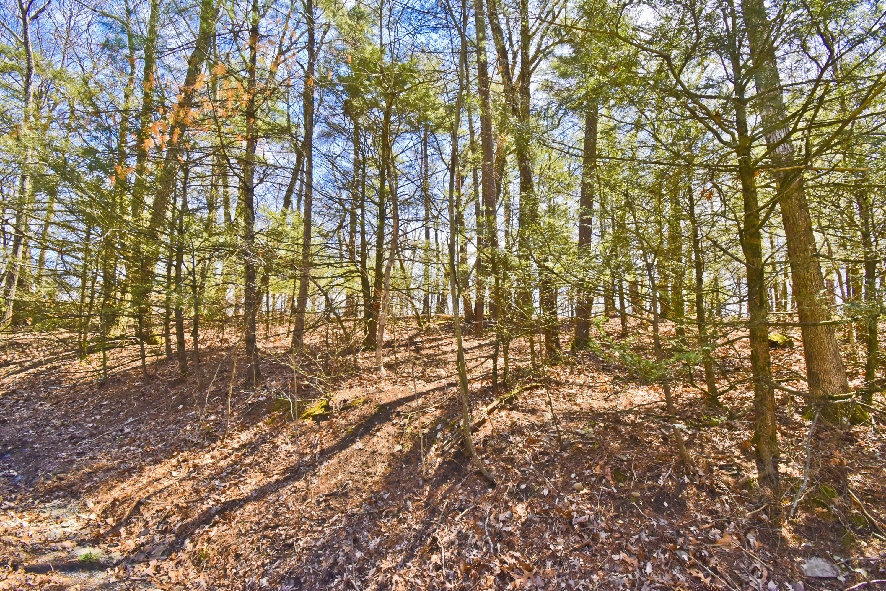118 Valley View Drive, Stroudsburg, Pennsylvania image 1