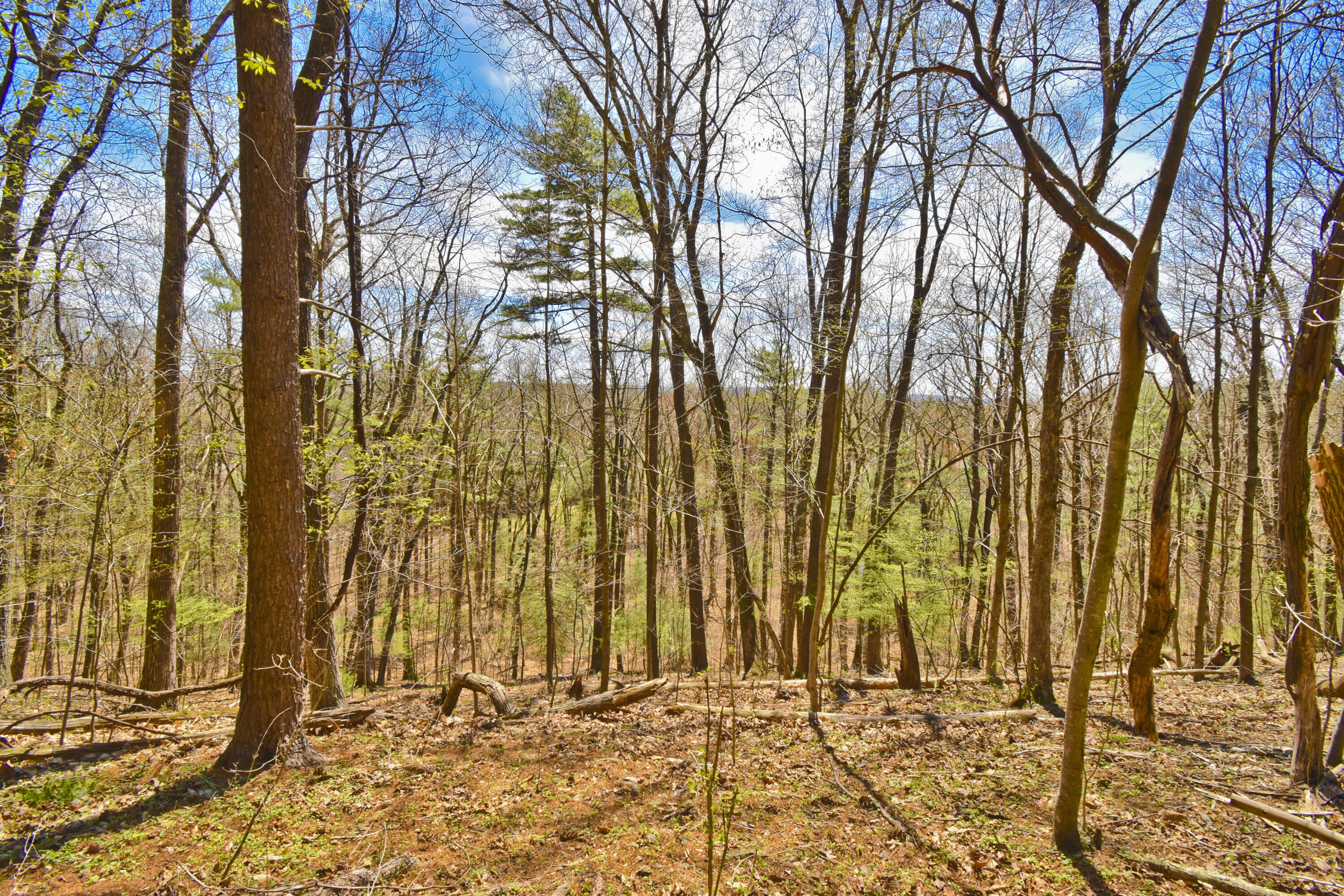 118 Valley View Drive, Stroudsburg, Pennsylvania image 2