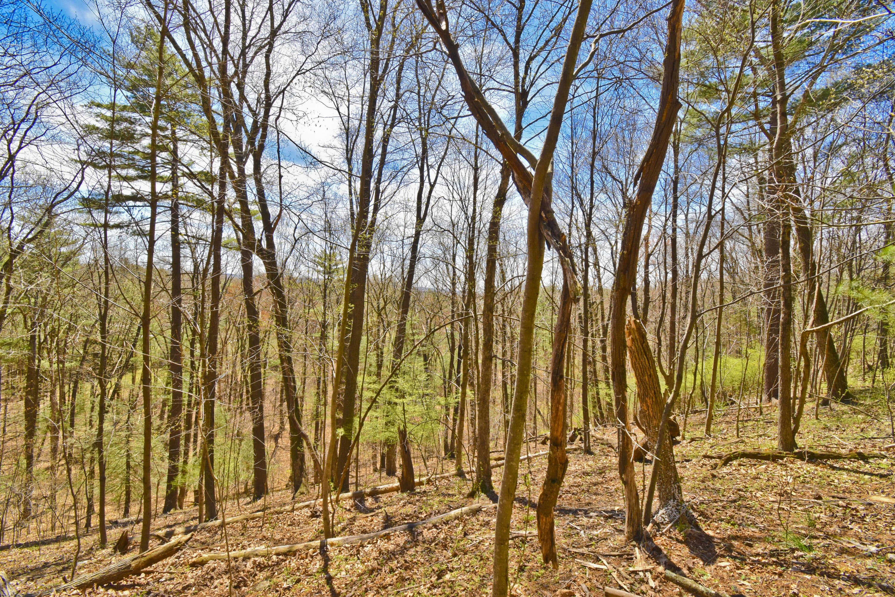 118 Valley View Drive, Stroudsburg, Pennsylvania image 3