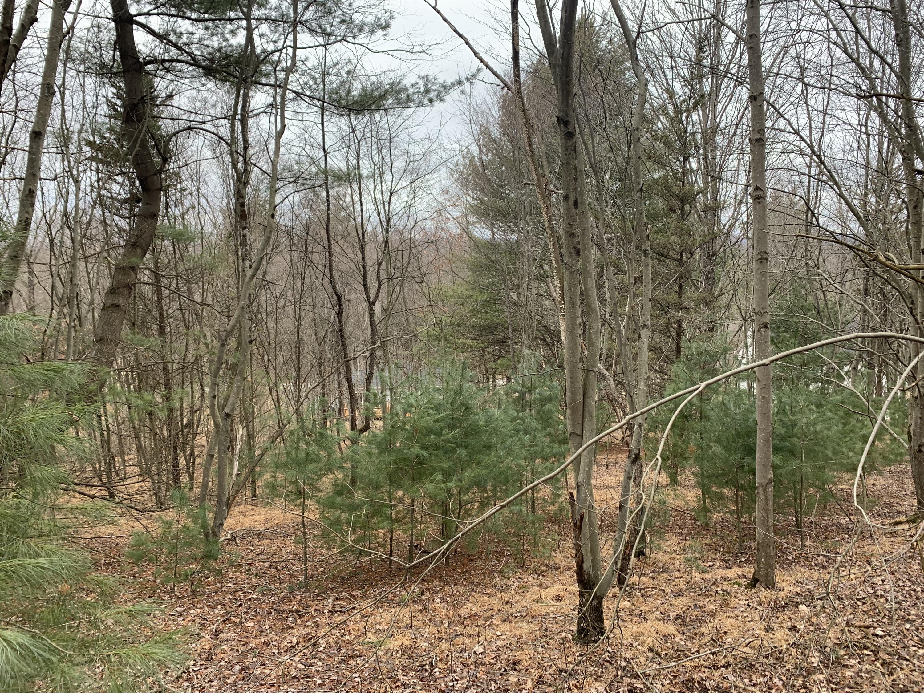 294 Mohawk Drive, East Stroudsburg, Pennsylvania image 5