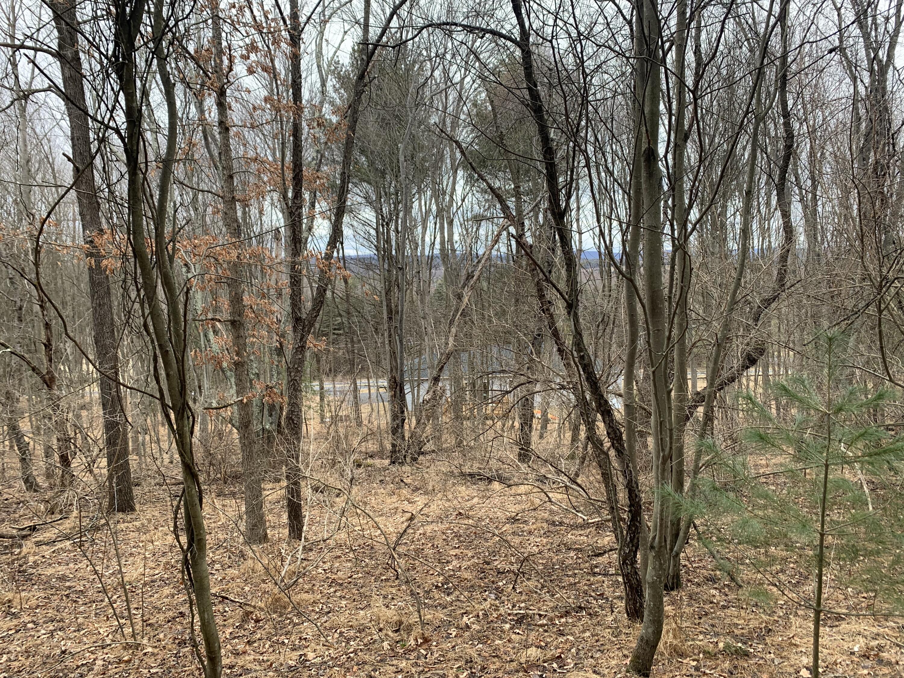 294 Mohawk Drive, East Stroudsburg, Pennsylvania image 6