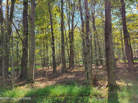 869 Sunset Drive Gouldsboro PA 18424