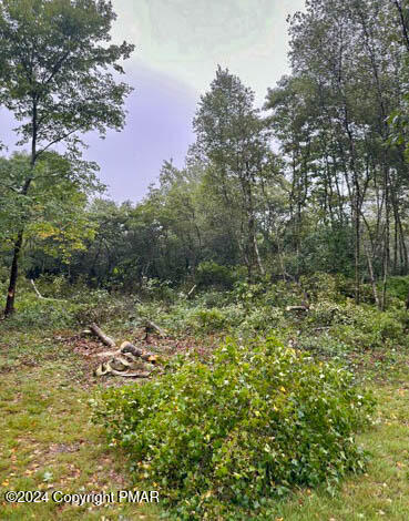 128 Snowflake Drive, Blakeslee, Pennsylvania image 5