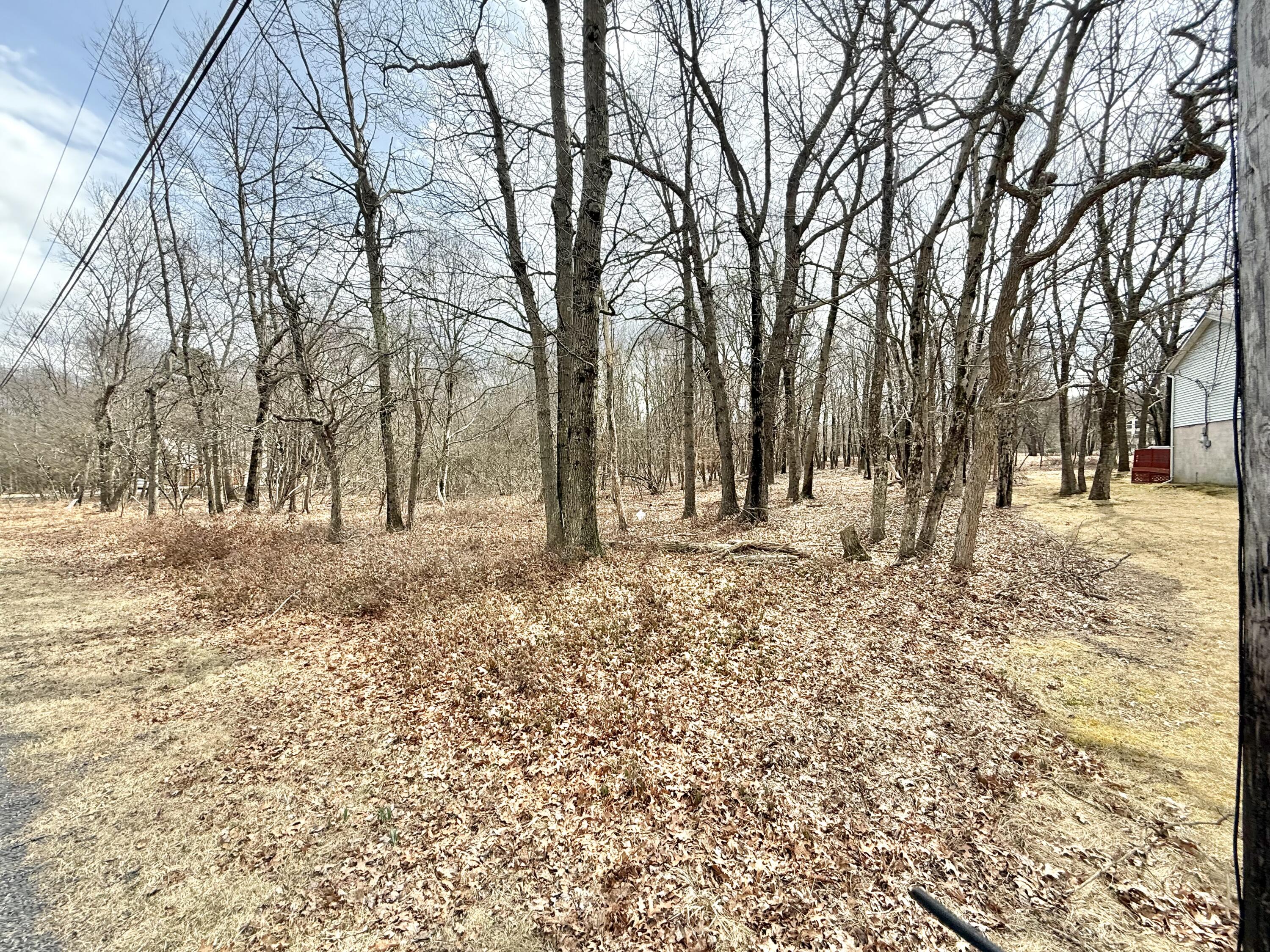 144 Chapman Circle, Albrightsville, Pennsylvania image 42