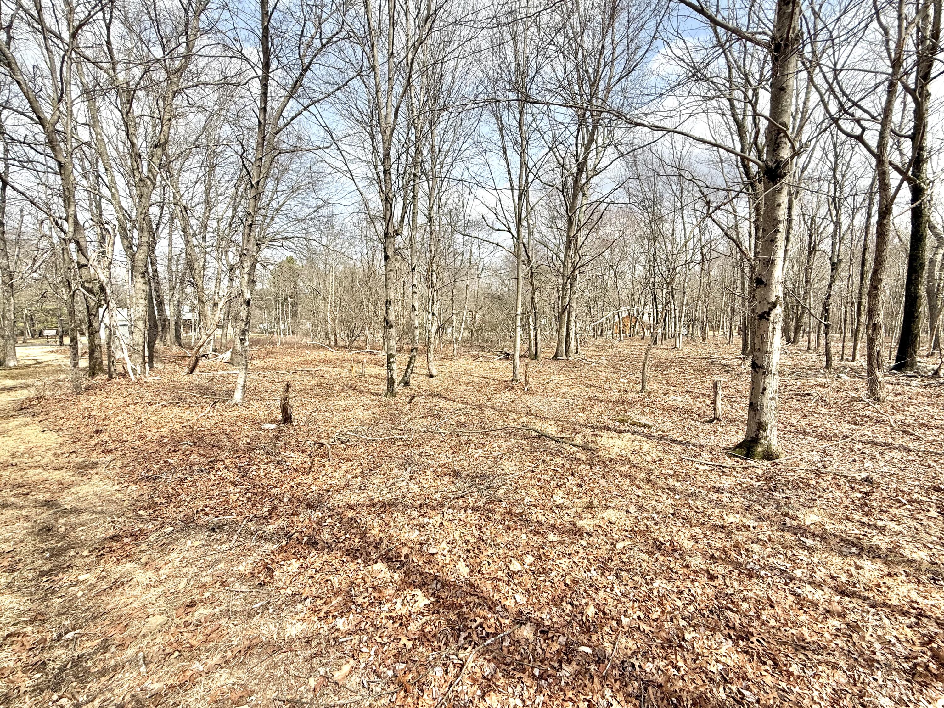 144 Chapman Circle, Albrightsville, Pennsylvania image 41