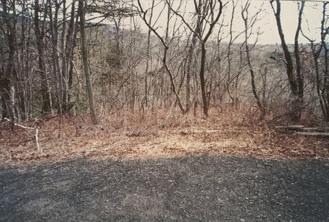 Vacant Land For Sale - 88 Beaver Lane<br/> East Stroudsburg, PA 18301