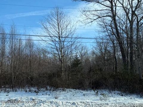Vacant Land For Sale - B27 W Clarke South Lane<br/> Jim Thorpe, PA 18229