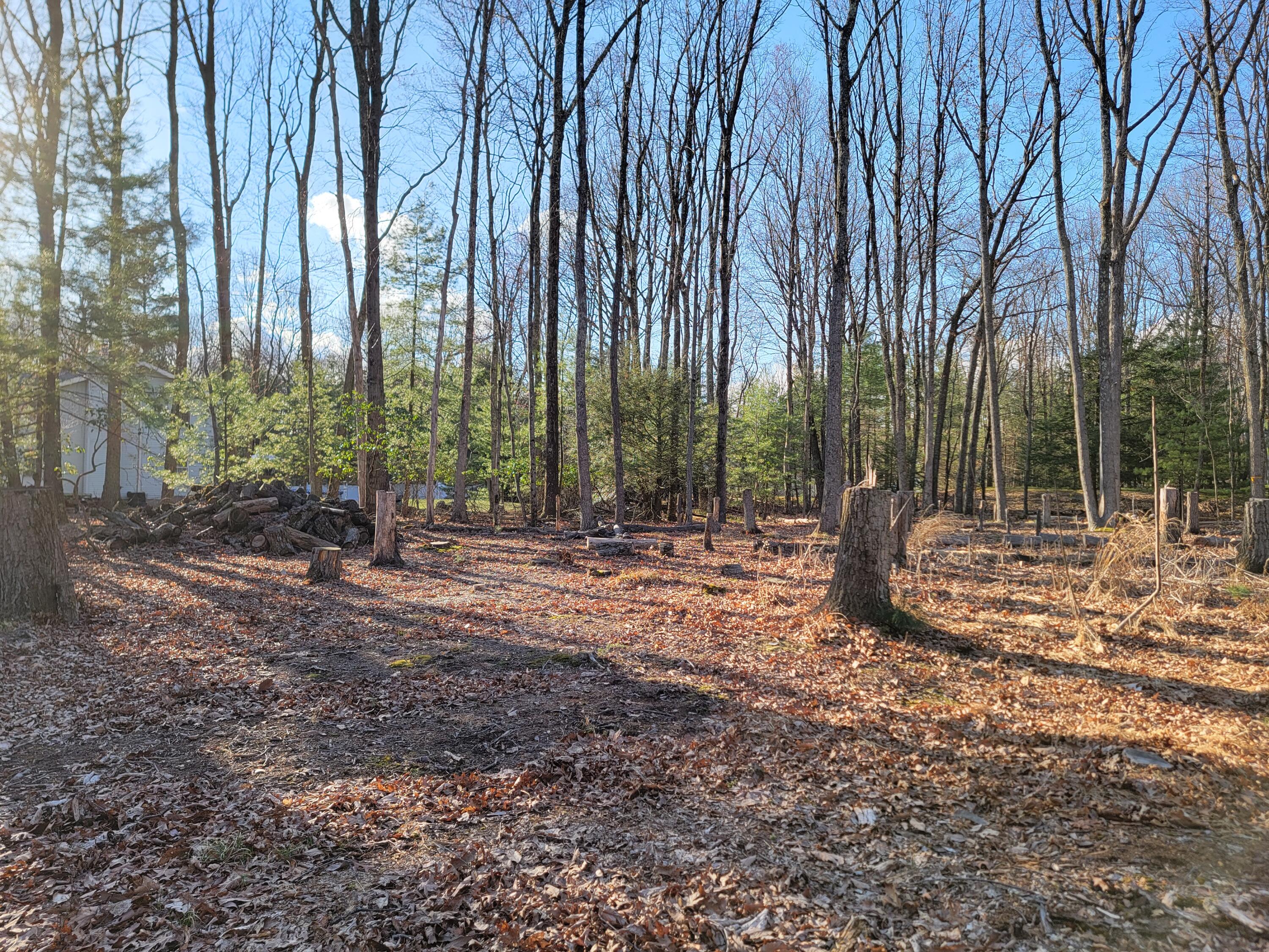 Whippoorwill Dr 72, Saylorsburg, Pennsylvania image 10