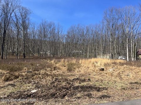 Vacant Land For Sale - LOT 132 Woodcrest Avenue<br/> Effort, PA 18330