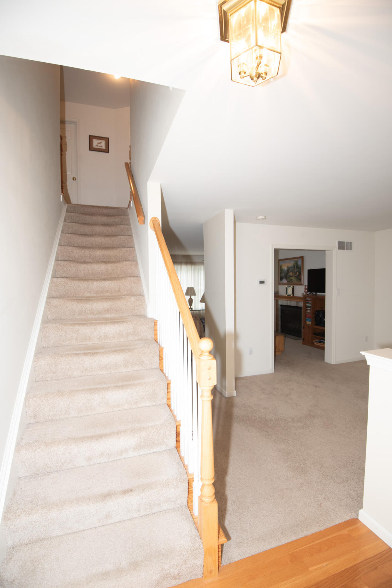 501 Steven Drive, Lenhartsville, Pennsylvania image 41