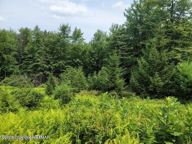 Hermit Thrush Road