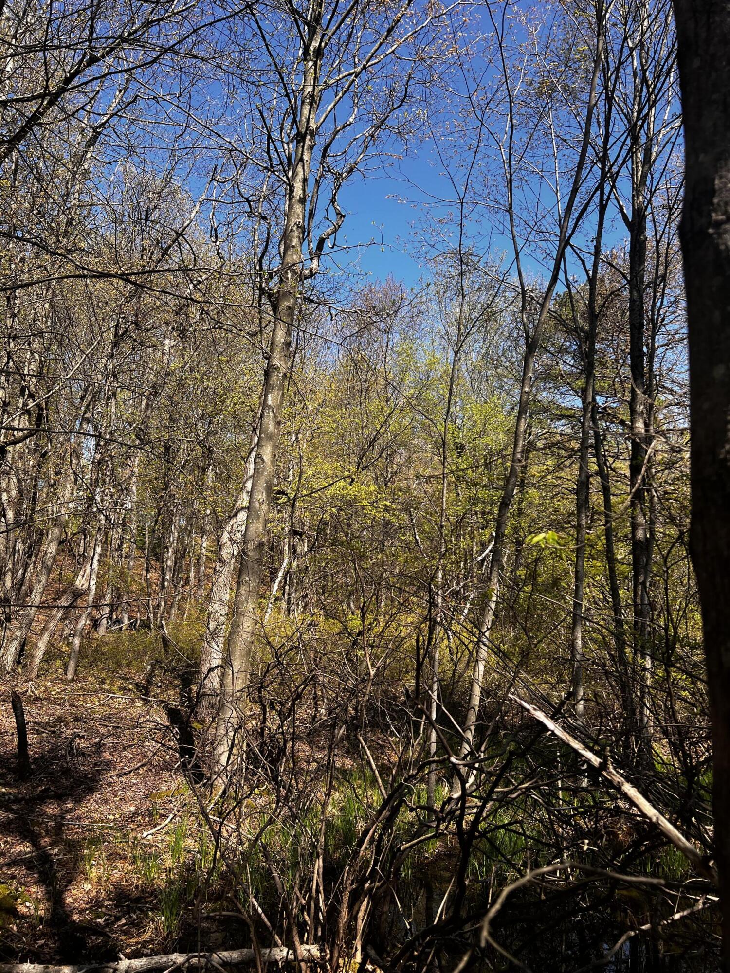 Lot 5881 Tumbleweed Drive, Long Pond, Pennsylvania image 3