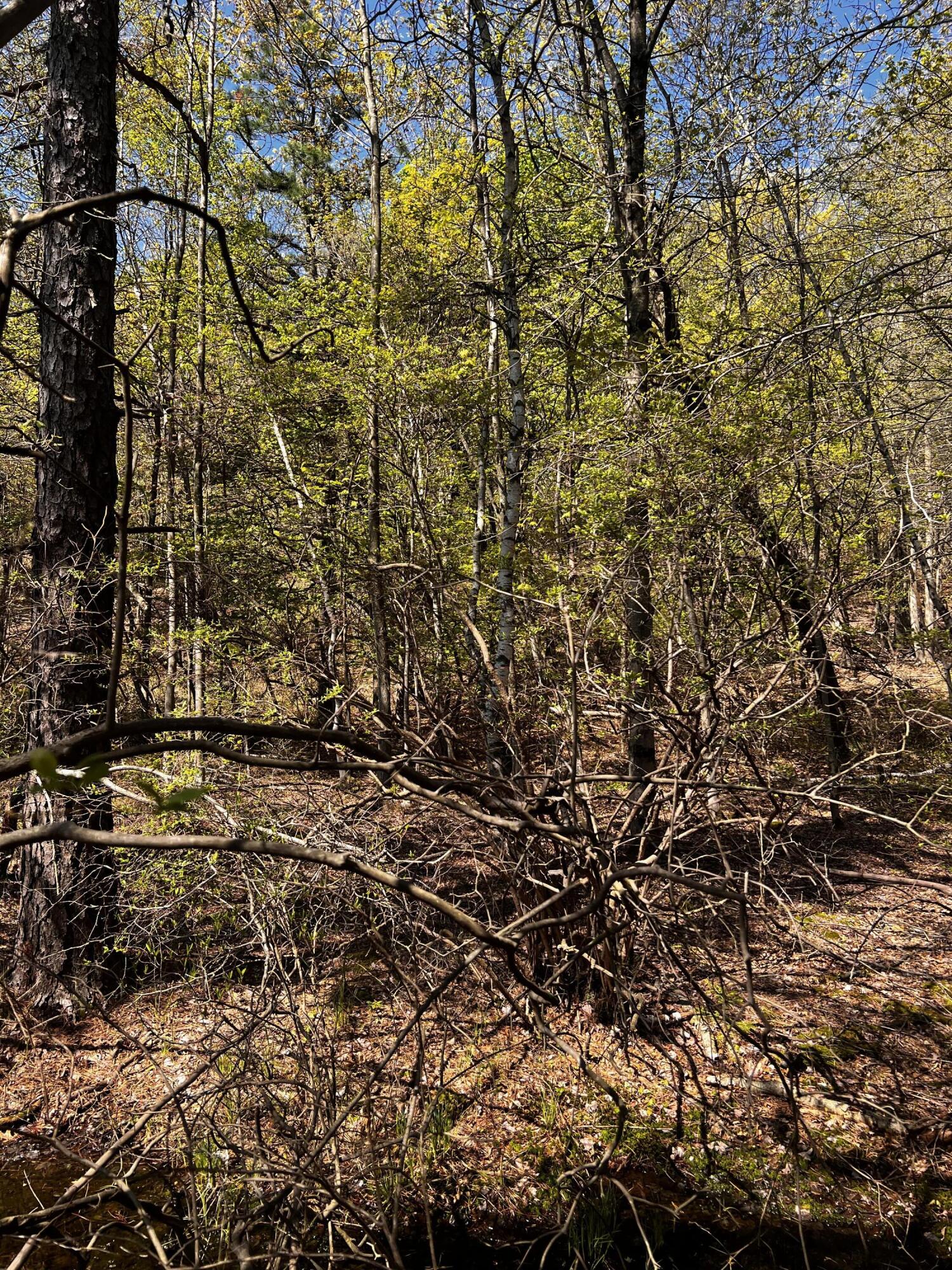 Lot 5881 Tumbleweed Drive, Long Pond, Pennsylvania image 5