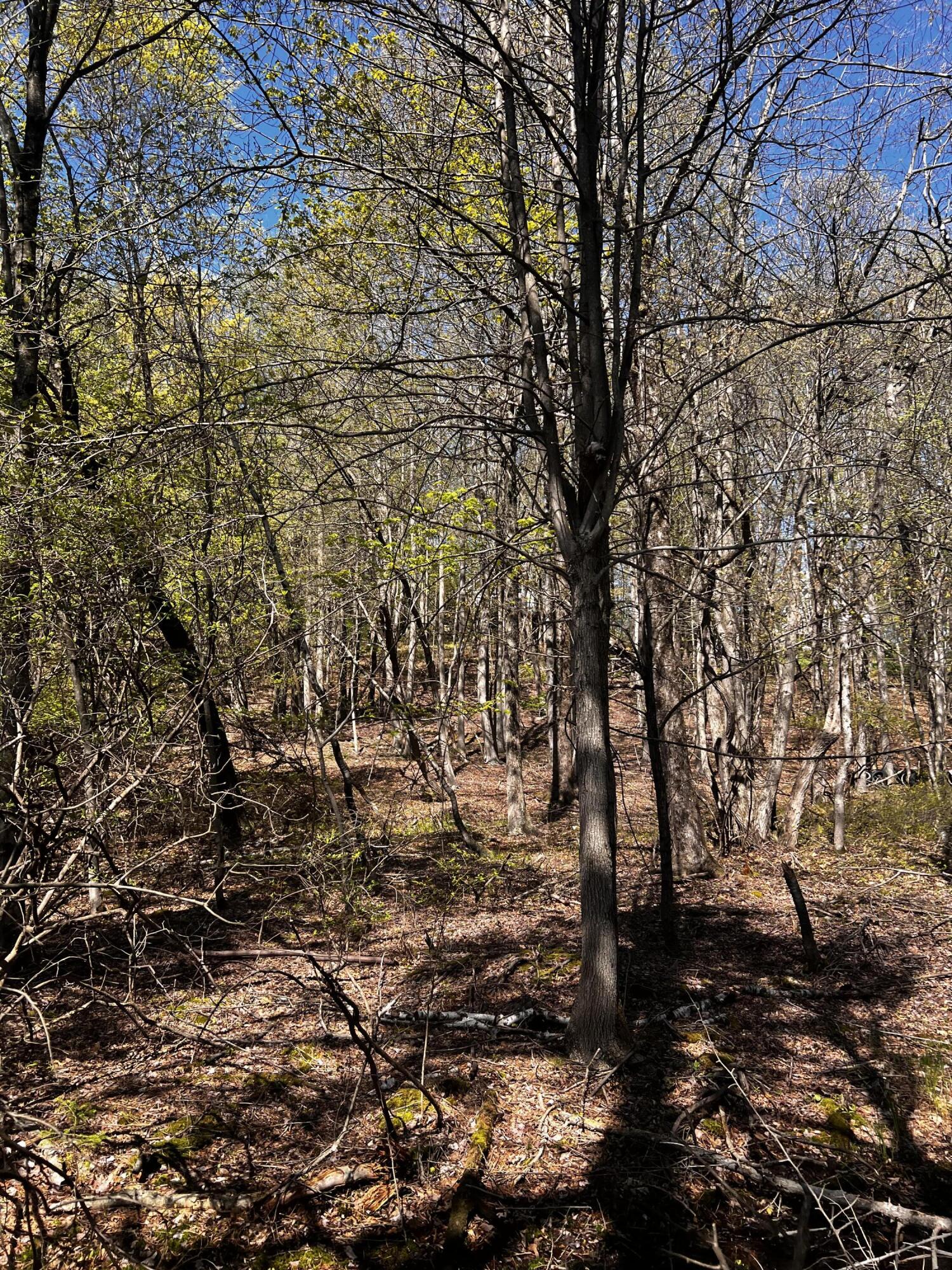 Lot 5881 Tumbleweed Drive, Long Pond, Pennsylvania image 4