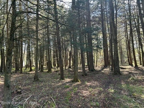 Vacant Land For Sale - George Dr Drive<br/> Pocono Lake, PA 18347