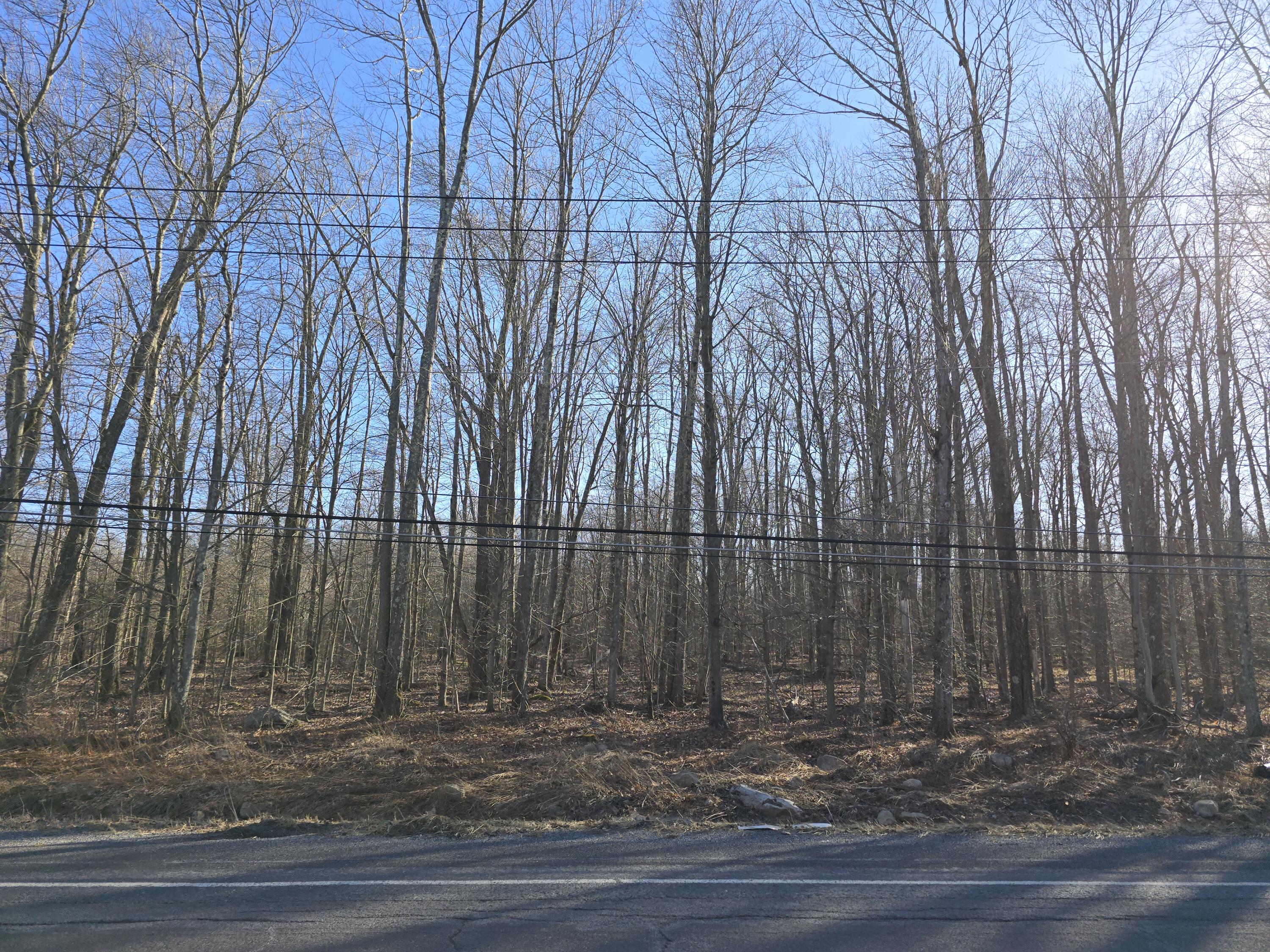 Pa-940, Lake Harmony, Pennsylvania image 16
