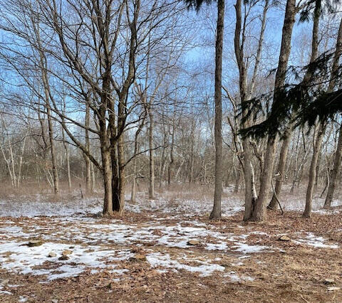 182 #3915 Claremont Drive, Albrightsville, Pennsylvania image 1
