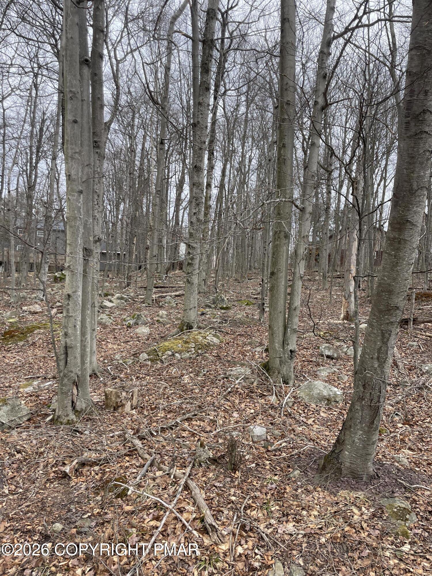 391 Fairmount Way 391