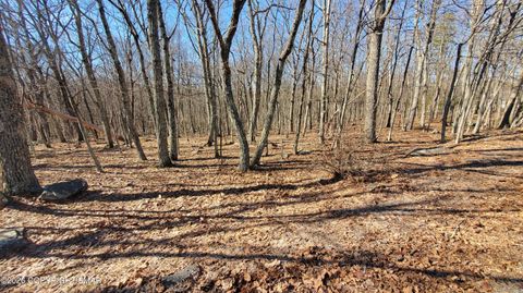 Vacant Land For Sale - LOT 155 Cardinal Drive<br/> Pike County, Bushkill, PA 18324