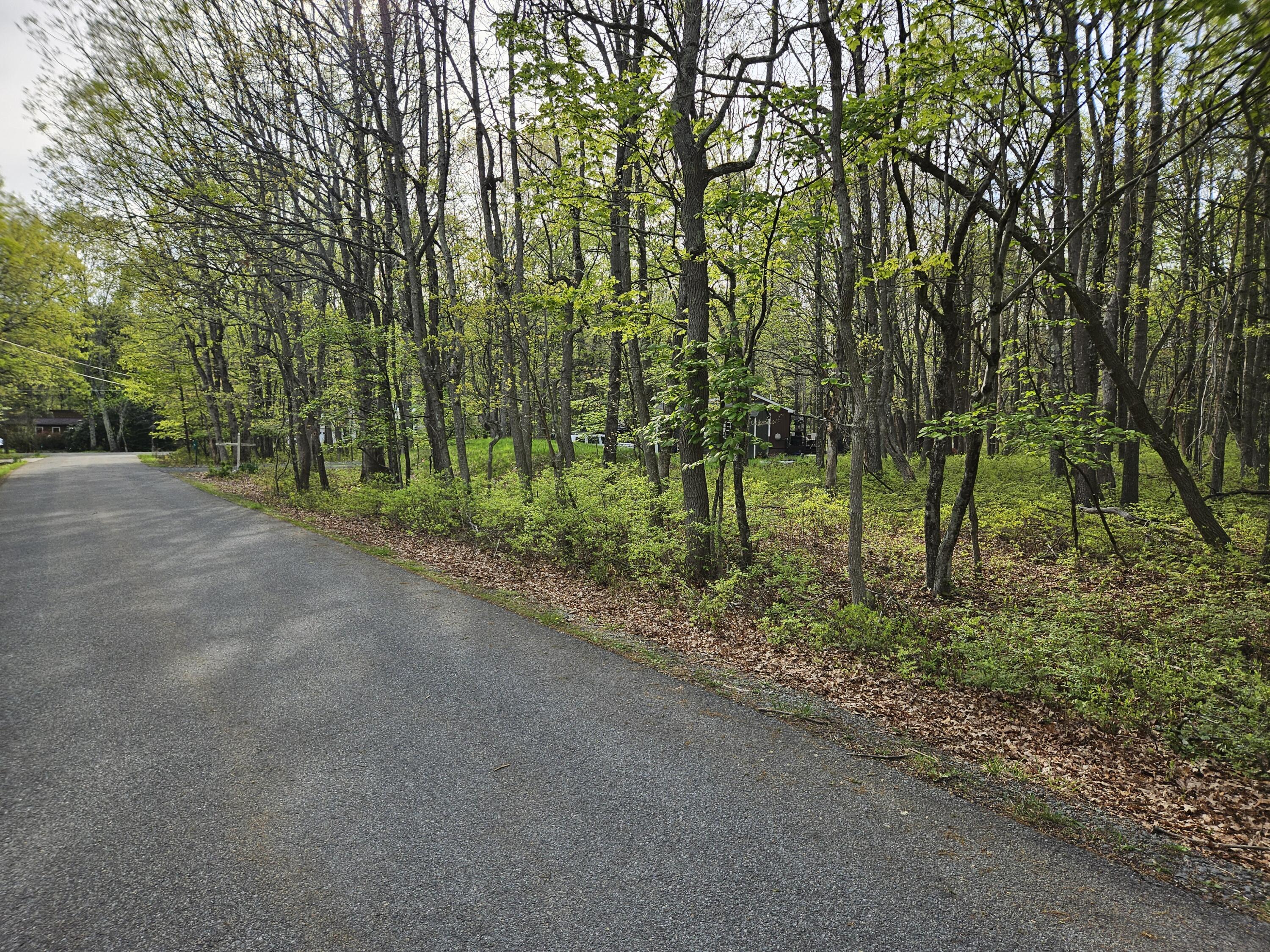 Berry Lane, Jim Thorpe, Pennsylvania image 1