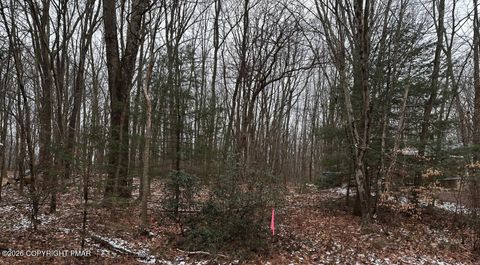 Vacant Land For Sale - Black Bear Pass<br/> White Haven, PA 18661