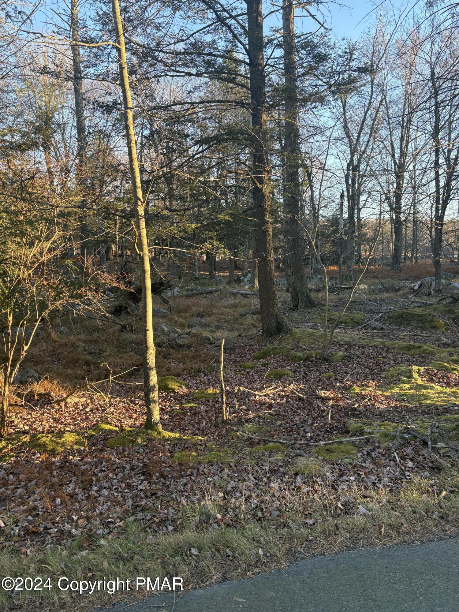 1 Cobblewood Road, Newfoundland, Pennsylvania image 5
