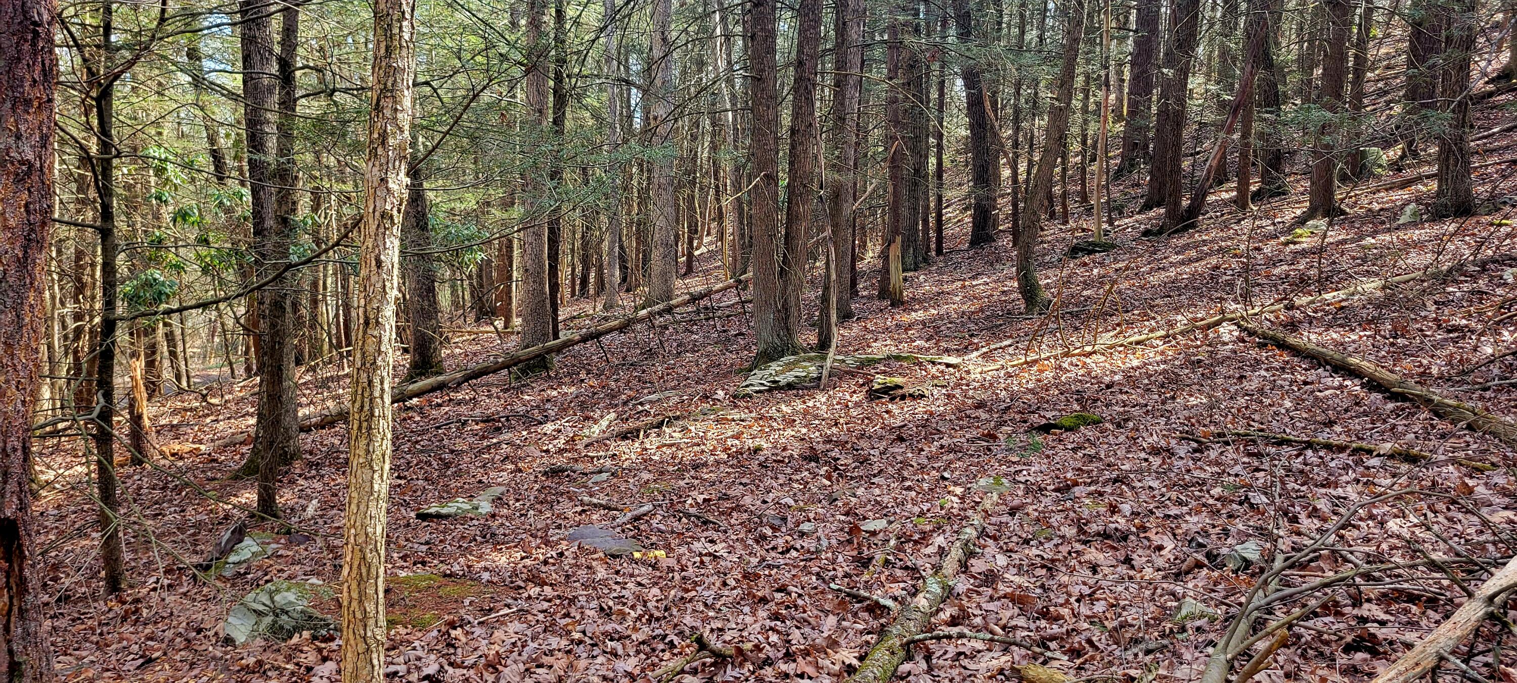 Merry Hill Rd 156, Bartonsville, Pennsylvania image 1