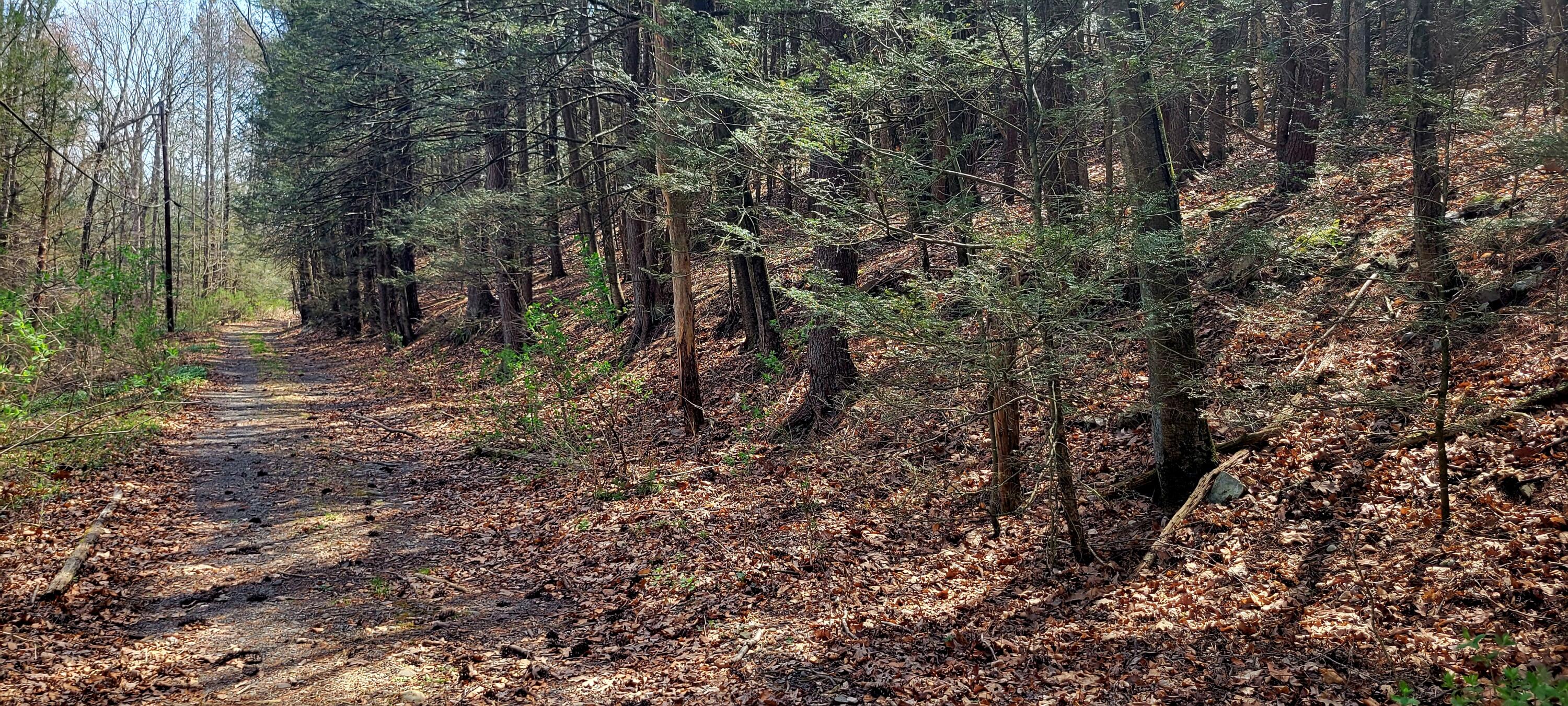 Merry Hill Rd 156, Bartonsville, Pennsylvania image 3