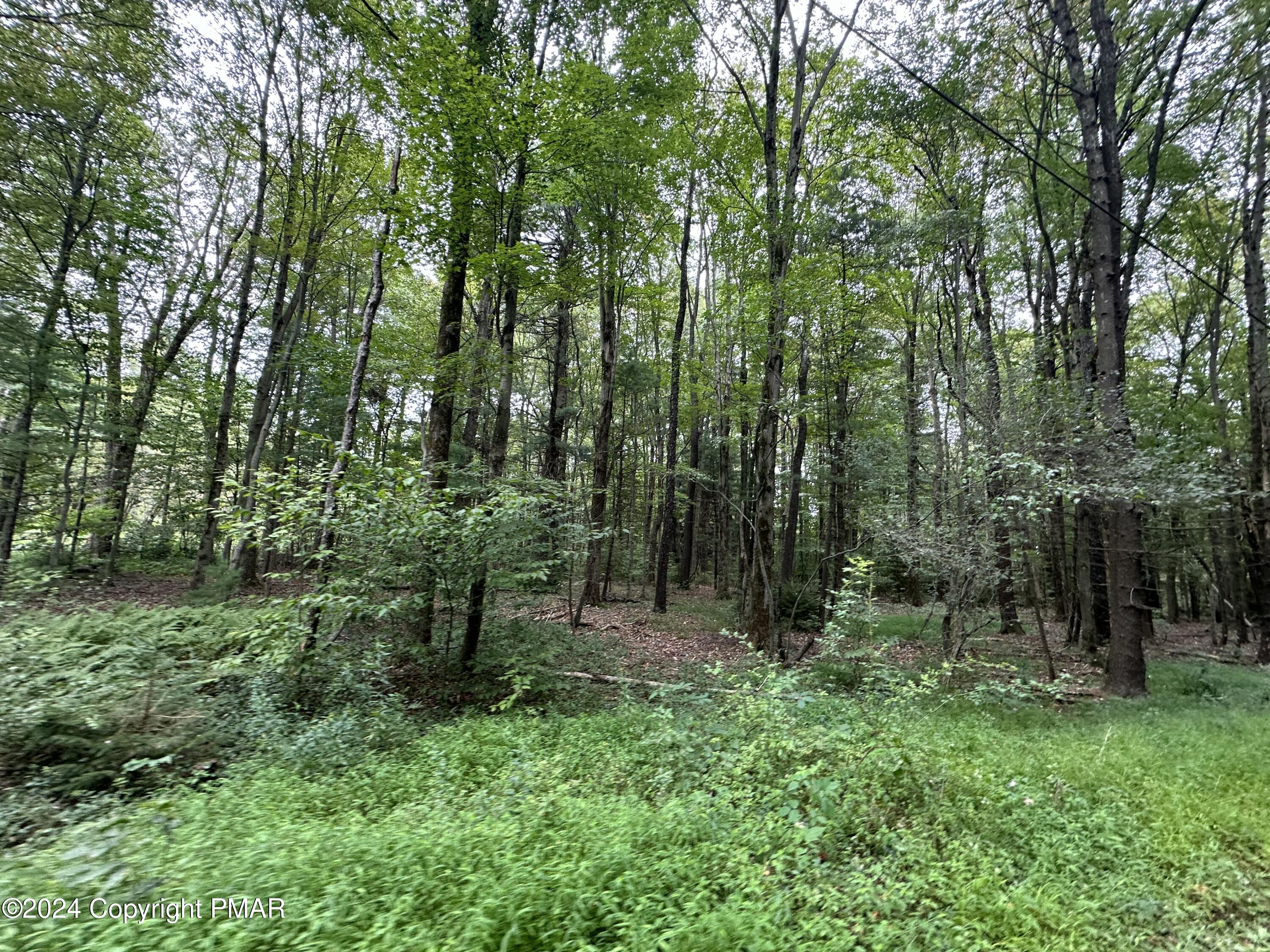 T 639, Blakeslee, Pennsylvania image 8