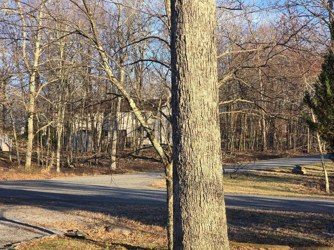 202 Tomnody Drive Dr, Tamiment, Pennsylvania image 26