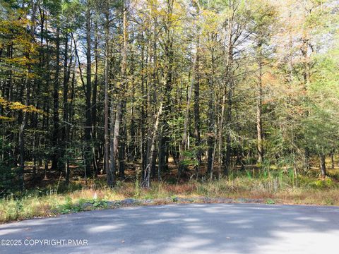Vacant Land For Sale - 201 Sir Jeoffrey Court<br/> Pocono Lake, PA 18347
