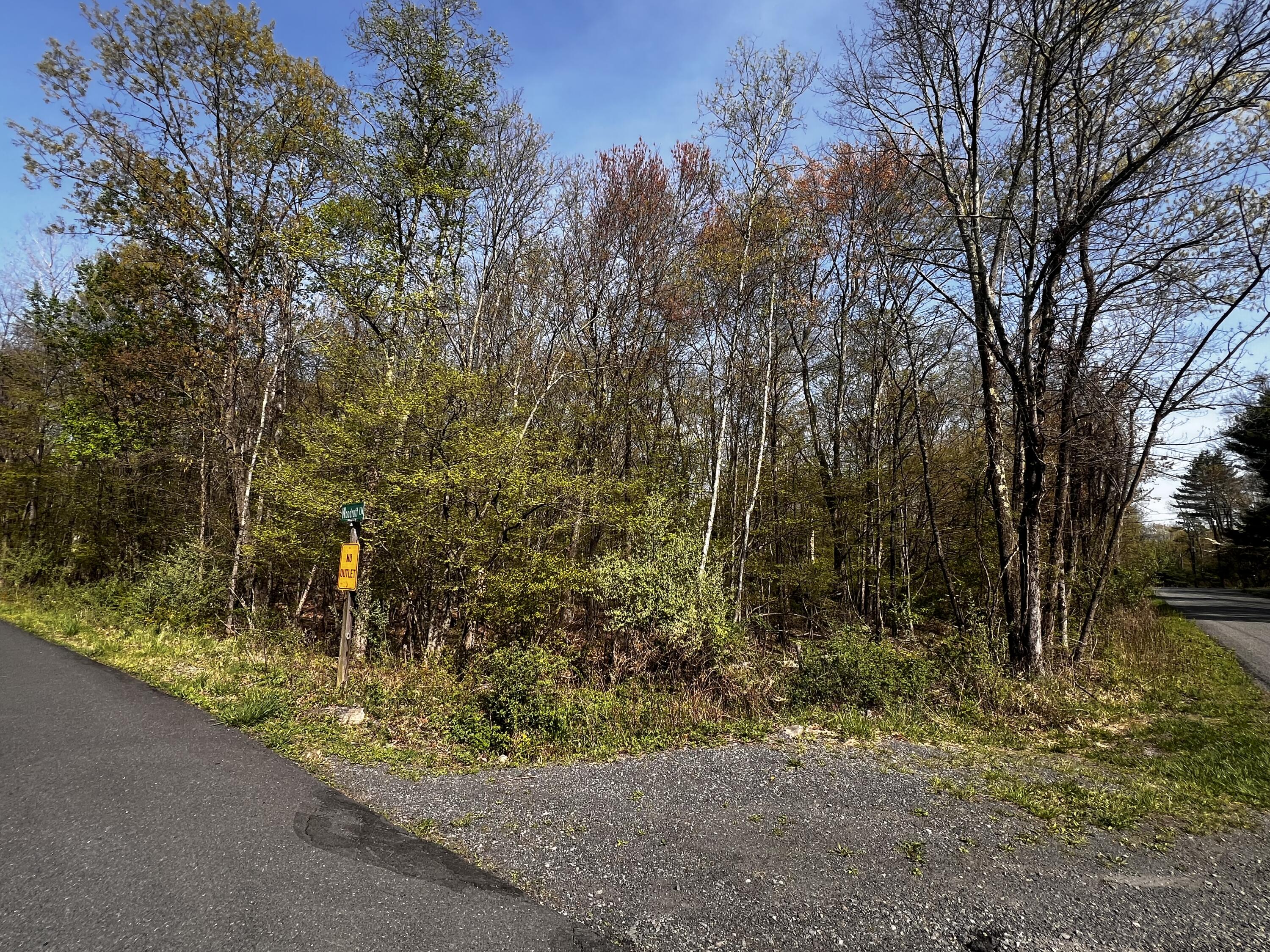 Lot 72 Larkspur/woodruff, Stroudsburg, Pennsylvania image 4