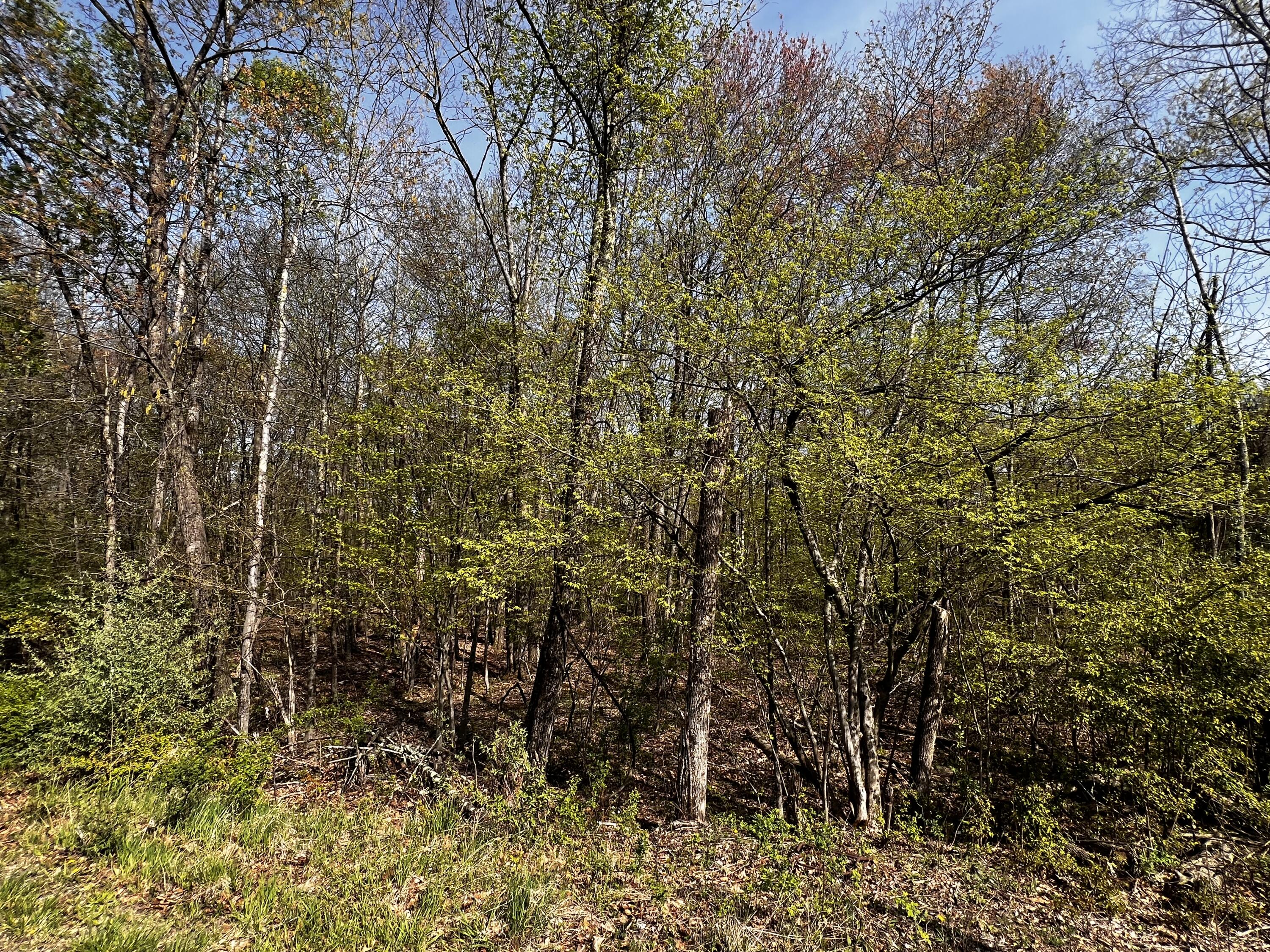 Lot 72 Larkspur/woodruff, Stroudsburg, Pennsylvania image 6