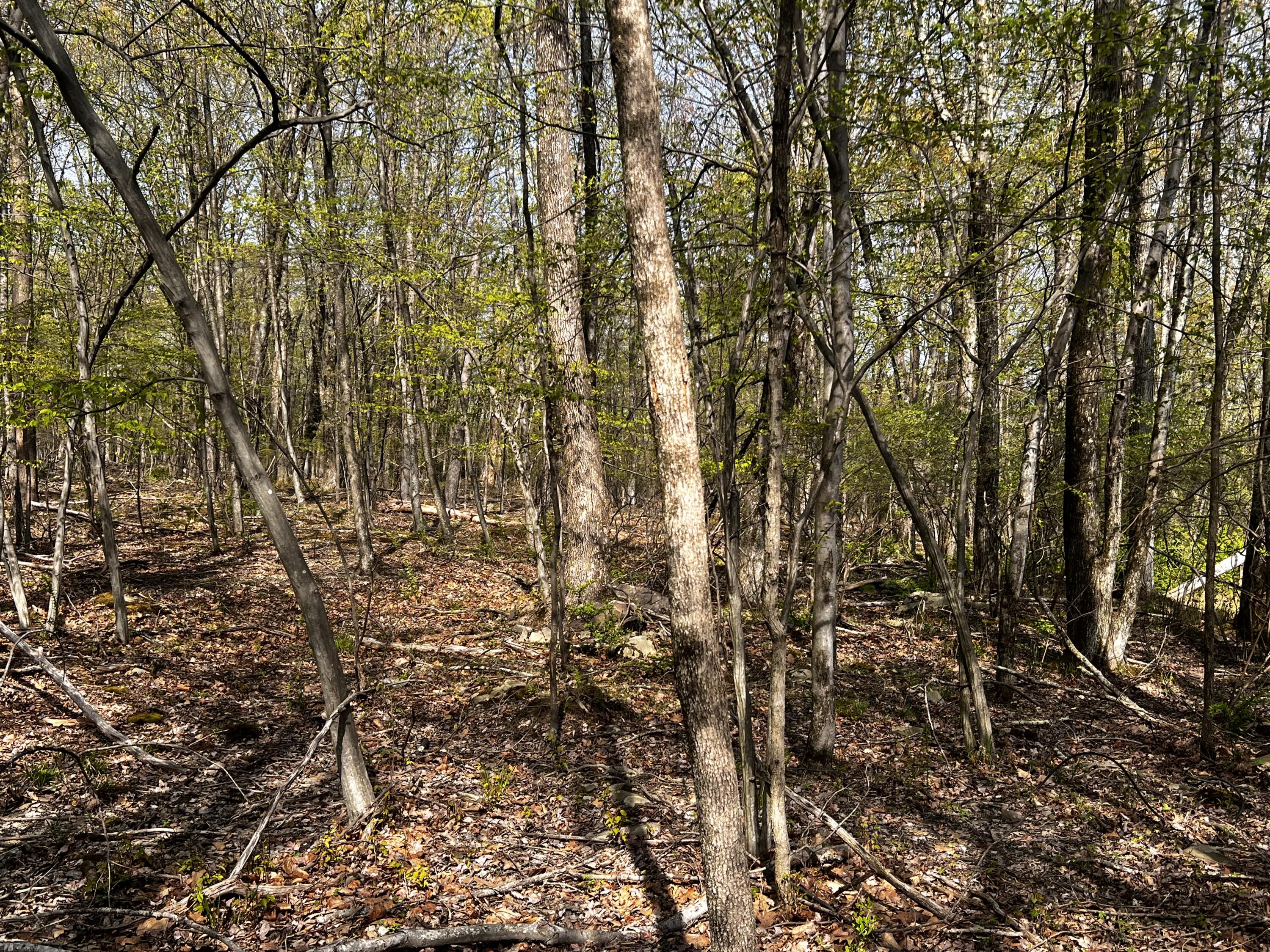 Lot 72 Larkspur/woodruff, Stroudsburg, Pennsylvania image 3