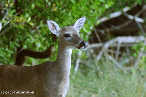 Vacant Land For Sale - Horace Way & Parker Trail<br/> Carbon County, Albrightsville, PA 18210