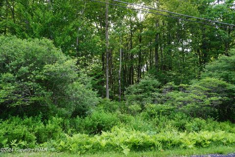 Vacant Land For Sale - Wagner Way<br/> Monroe County, Pocono Lake, PA 18347
