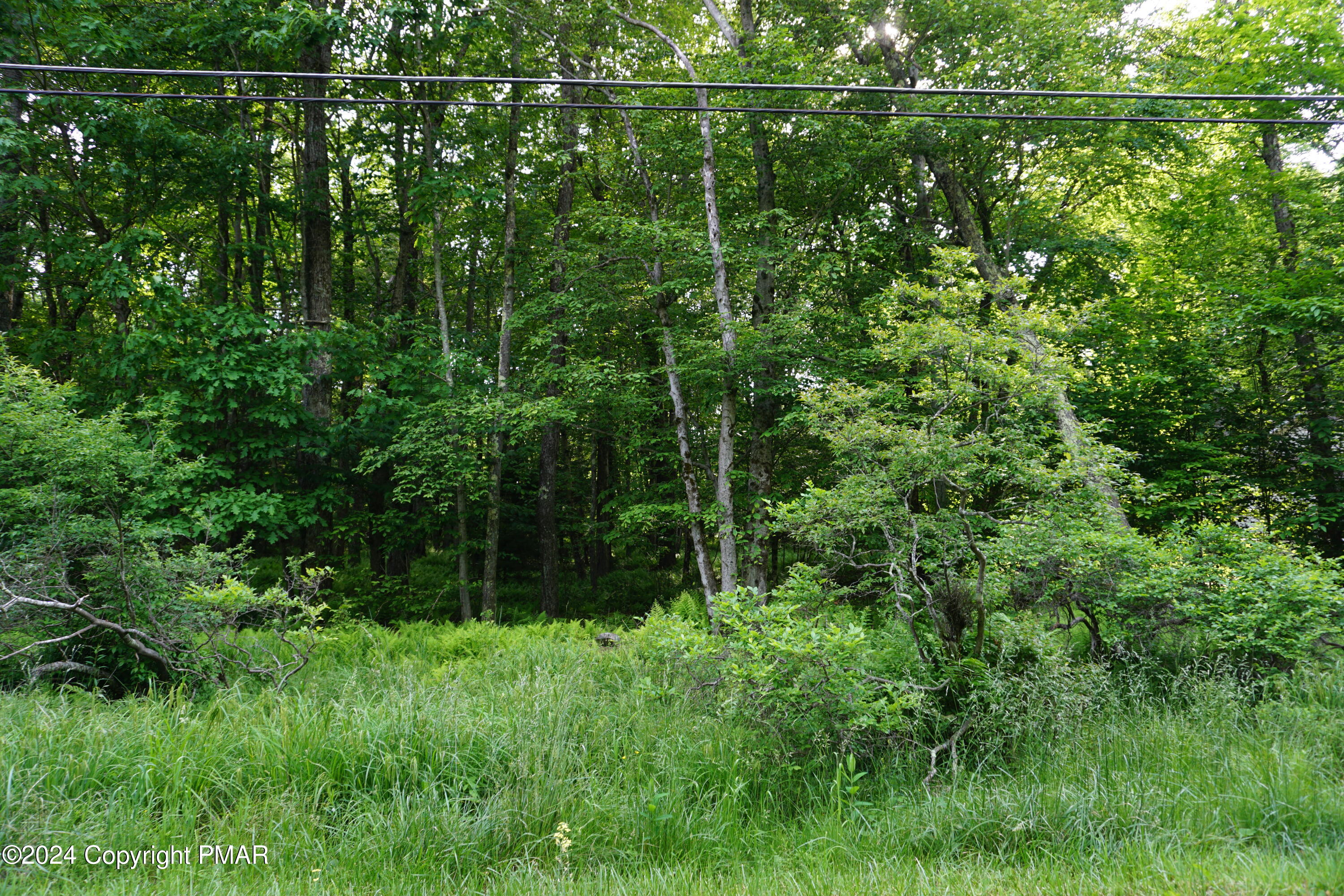 Wagner Way, Pocono Lake, Pennsylvania image 2