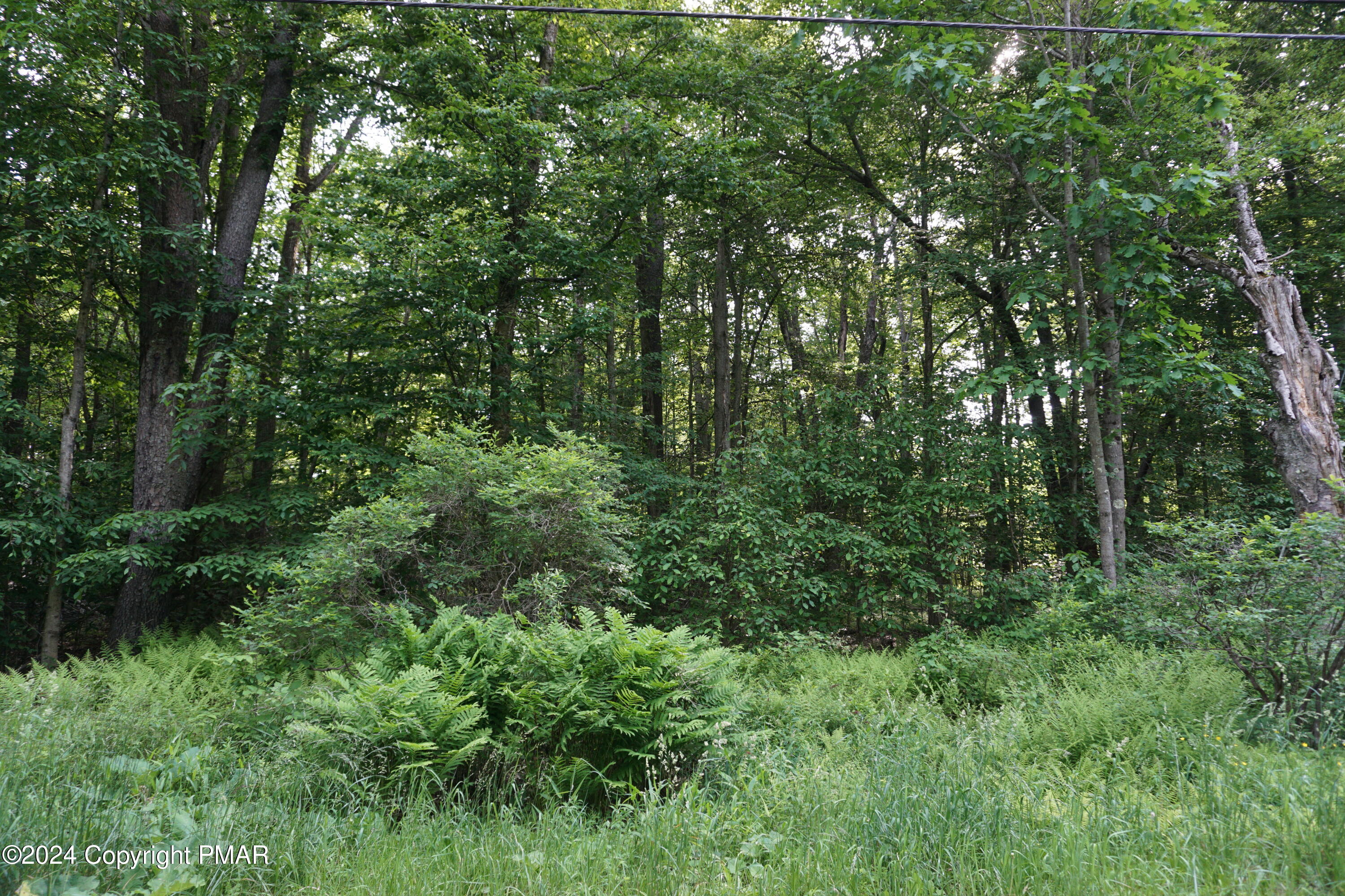 Wagner Way, Pocono Lake, Pennsylvania image 3