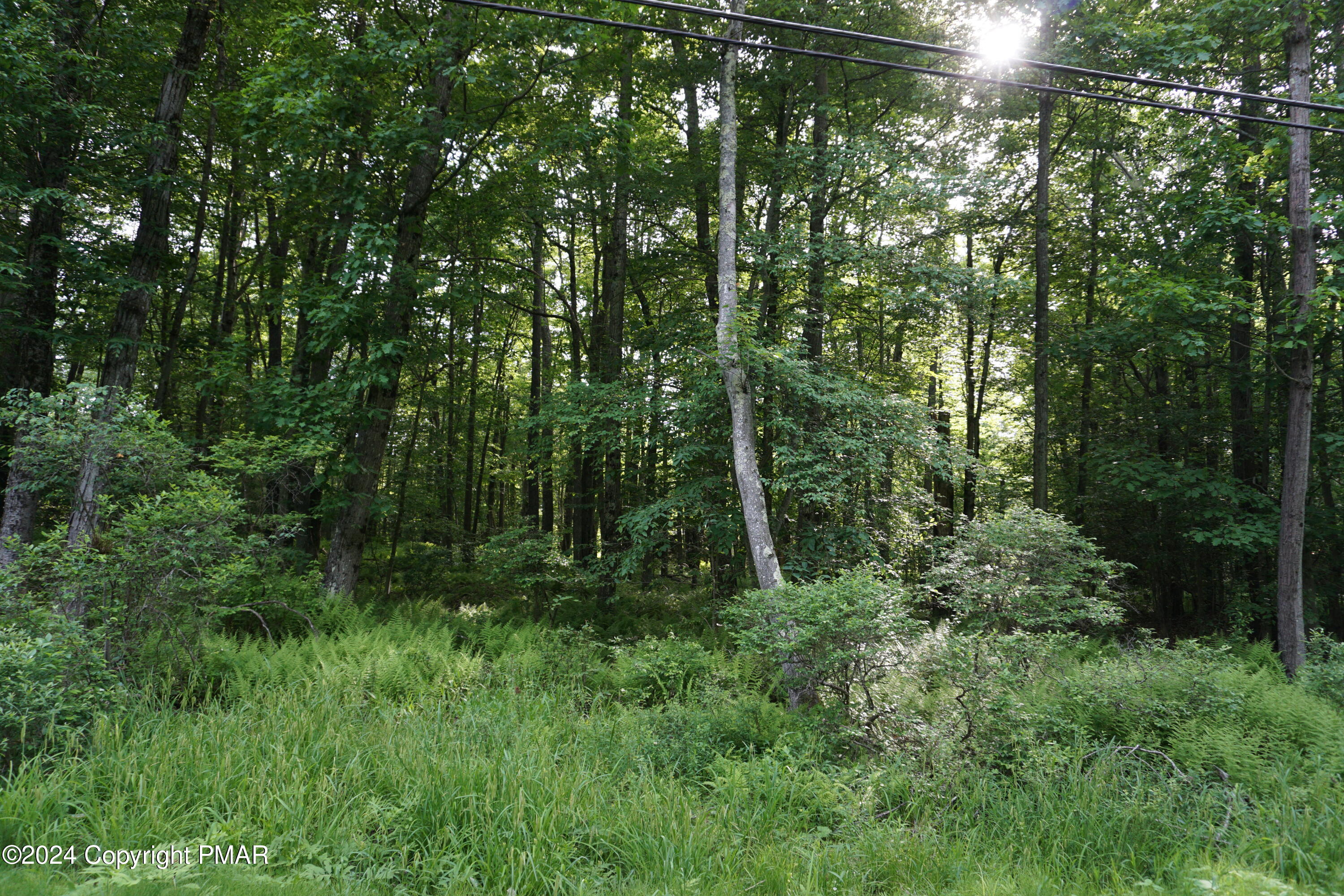 Wagner Way, Pocono Lake, Pennsylvania image 4
