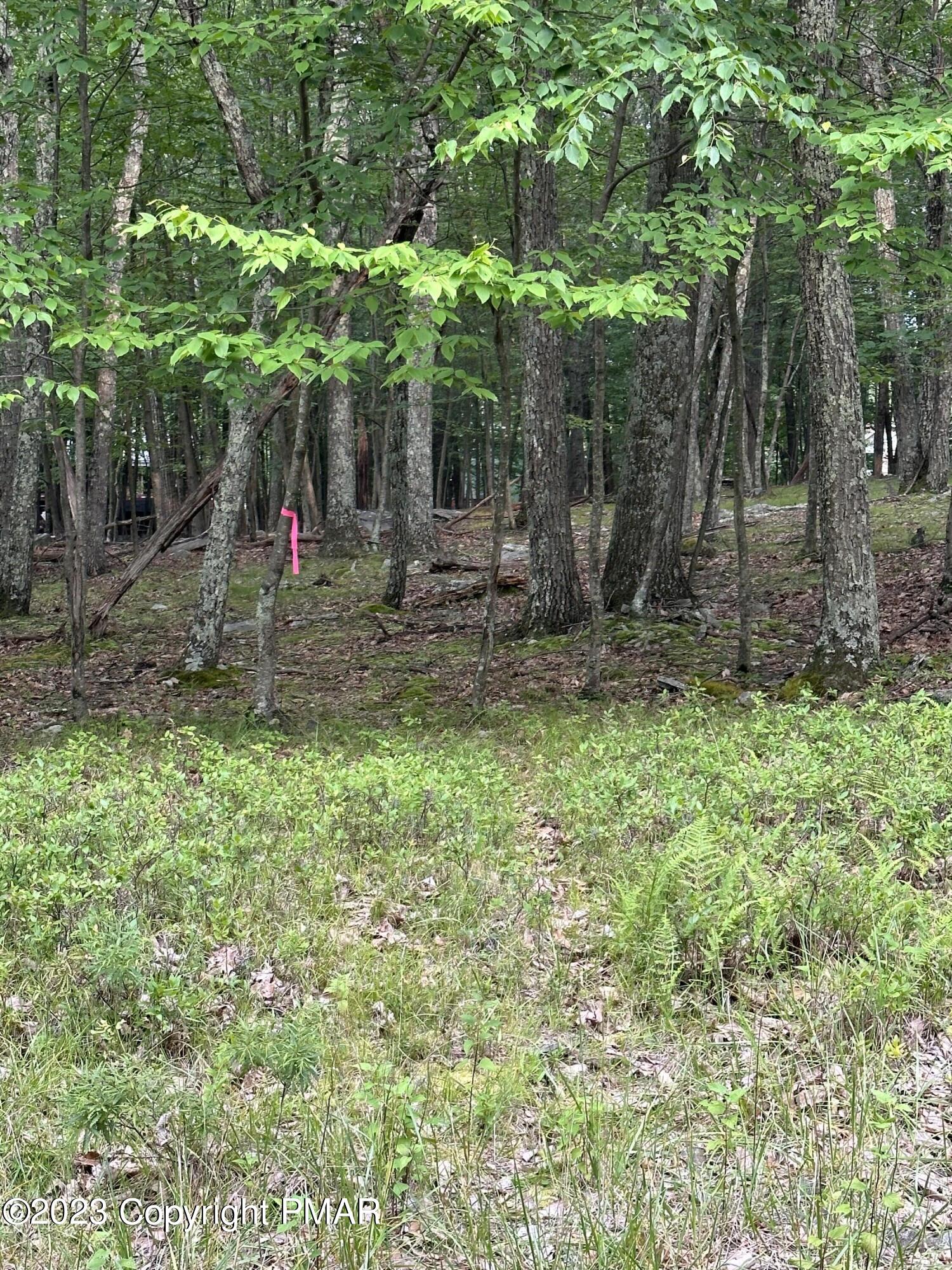 Lot 7 Cardinal Drive, Bushkill, Pennsylvania image 3