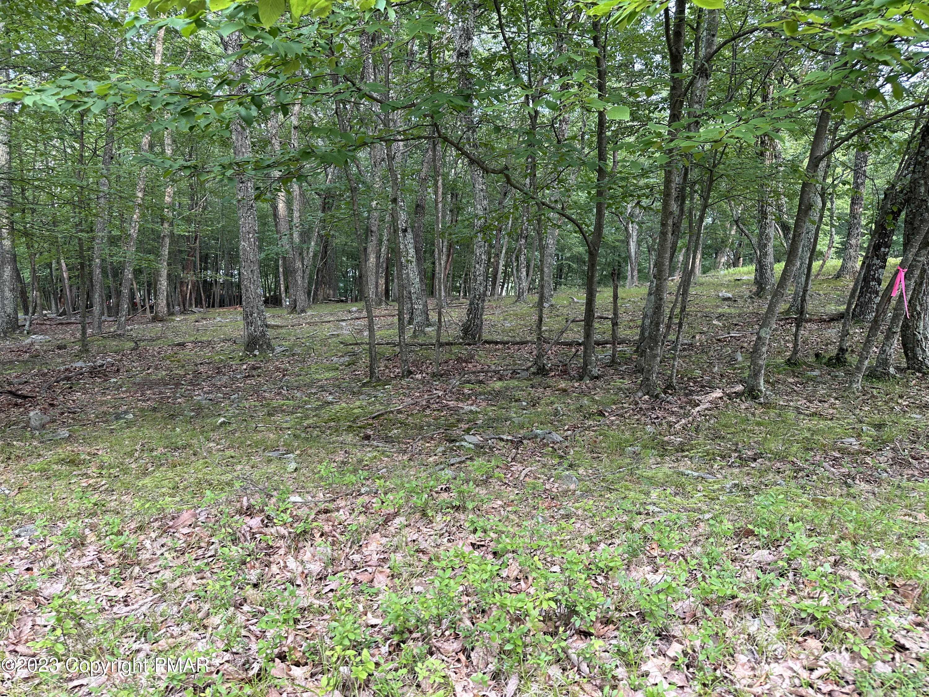 Lot 7 Cardinal Drive, Bushkill, Pennsylvania image 5