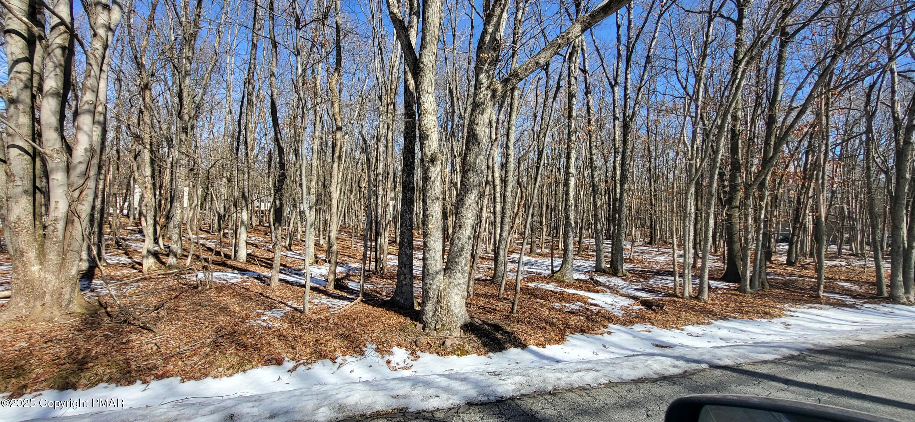 Mohawk Trail, Albrightsville, Pennsylvania image 1