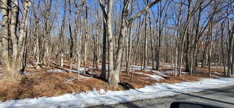 Vacant Land For Sale - Mohawk Trail<br/> Albrightsville, PA 18210
